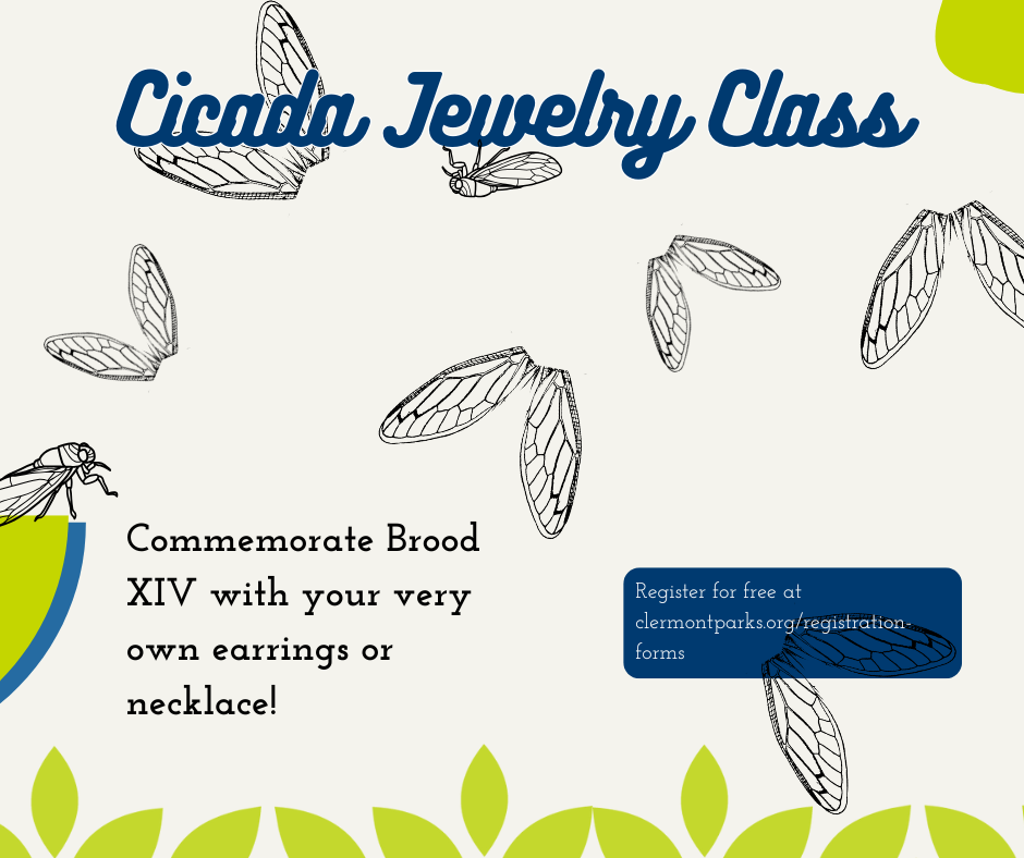 cicada jewelry flyer